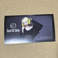 EAST of EDEN 直筆サイン入り クリアファイル 5枚セット East of Edenメンバー直筆サイン入りクリアファイル 5枚セット