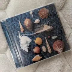 CYCLEHIT　Spitz　スピッツ