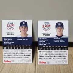 2025 カルビー ライオンズ 野球チップス 西川愛也 甲斐野央