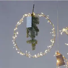 Horn Please LEDライト ハンギング ワイヤー ホーンプリーズ　満月