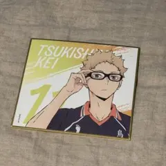 ハイキュー!! 月島蛍 ミニ色紙 烏野 グッズ