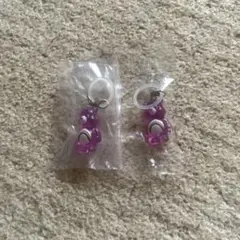 ケアベア クリアマスコットチャーム めじるしアクセサリー ガチャ 2個セット