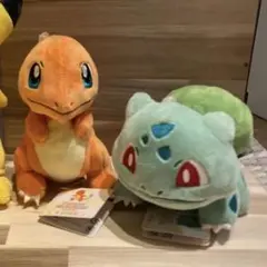 ポケモン ピカチュウ フシギダネ ヒトカゲ ぬいぐるみセット