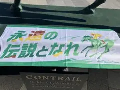 JRA ウェルカムチャンス　見上愛さん監修オリジナルタオル