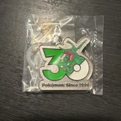 ポケモン 30周年 メタルチャーム マスコット レックウザ