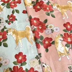 Item thumbnail for item f3a45937-bbbe-4959-9081-a00e821b3195