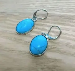 Item thumbnail for item 1cbe4735-5e98-4c95-86f1-26064b9a43c4