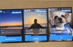 Item thumbnail for item d205f070-5010-41da-8f02-b42e6a7421bc