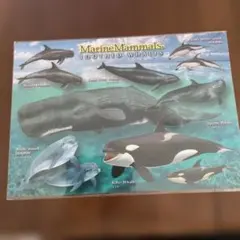 Item thumbnail for item 373e3139-b469-4987-a3cc-eaff0532860f