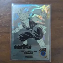 APT-009 孫悟飯青年期パラレル