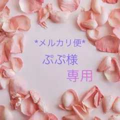 ぷぷ様専用•*¨*•.¸♬