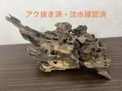 No.5 ダンボ様専用 3030グラステラリウム専用バックボードのみ 爬虫類
