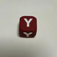 casetify チャームキューブ　Y