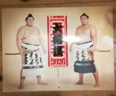 10部セット　大相撲 2026年　壁掛けカレンダー 大相撲カレンダー2026年☆10セット封筒つき 【公式通販】