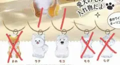 わんこのタイムカプセル　キーホルダー