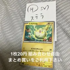 トゲテマル　在庫2 ステラ
