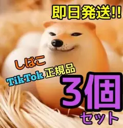 柴犬 シバイヌ しばこ シバコ 柴犬卵 フィギュア 3個セット
