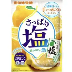 UHA味覚糖 かみ舎楽 塩レモン飴 64gのサムネイル