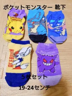 ポケットモンスター 靴下 5枚セット 19-24センチ