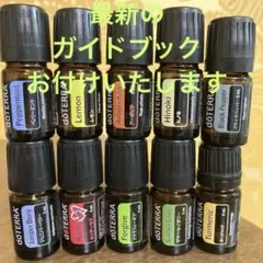 ドテラ 1セット限定SALE 非売限定品含む10本 エッセンシャルオイル 
