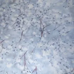 輸入生地 Winter's Wings