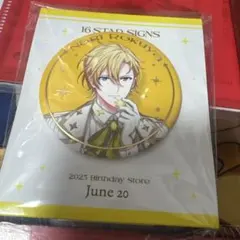 う*こ様 アイドリッシュセブン アイナナ バースデー 缶バッジ ナギ
