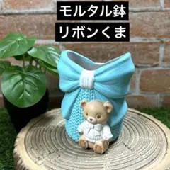 722☆ ribbonクマ鉢Blue モルタル雑貨 （お任せ植物付き） - メルカリ