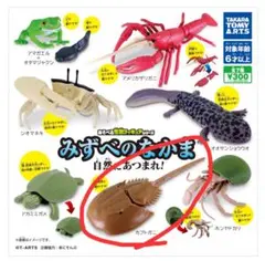 ひー様 リクエスト 2点 まとめ商品