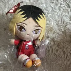 ハイキュー!! 孤爪研磨／ぬいぐるみマスコット・缶バッジ セガラッキーくじ ハイキュー!!セガラッキーくじ 孤爪研磨 ぬいぐるみ マスコット＆缶