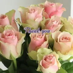 ゆめ☆☆☆様 リクエスト 3点 まとめ商品