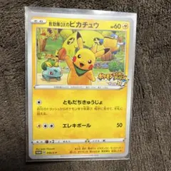 2025年最新】ソードシールド プロモ ピカチュウの人気アイテム