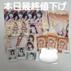 たまちゃん イベント トレカ ブロマイド アクキー 36点まとめ売り バラ売り可 たまちゃん イベント トレカ ブロマイド アクキー 36点まとめ売り バラ