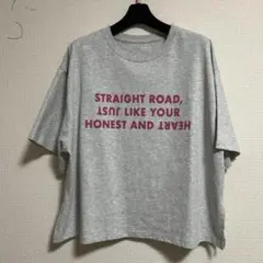 グローバルワークレディースTシャツLのサムネイル