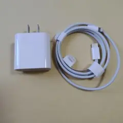 純正品 iPhone Apple ライトニングケーブル タイプC 充電器 ①