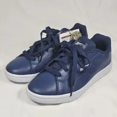 Item thumbnail for item 4408656e-64b0-4115-a361-8519d0532d8b