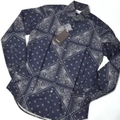 Item thumbnail for item 3018827b-d76a-42ae-b04e-196e3a6c5ed8