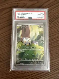 ワッカネズミ PSA 10 USGMEN ポケモンカード - メルカリ