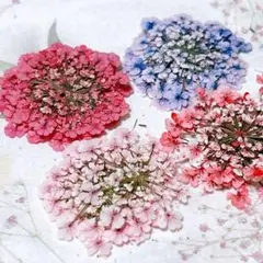 Cui_Cui販売終了様 リクエスト 2点 まとめ商品