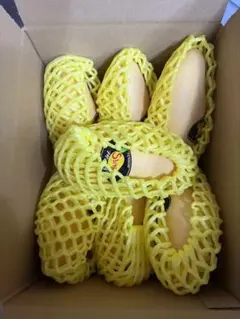 401.新入荷タイ産ナムドクマイマンゴー 7玉入り玉数お任せ - メルカリ