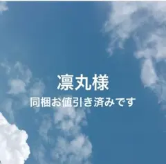 凛丸様 リクエスト 2点 まとめ商品