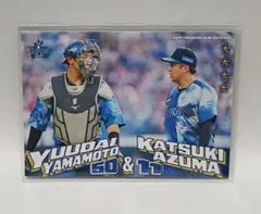 Item thumbnail for item da856b2c-0001-480b-9742-505e6fe6d5a2