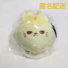 ☆makkuro usagi☆ぷちマスコットぬいぐるみ☆ひまわり☆ガチャ☆黄色