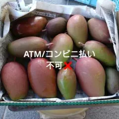 沖縄県産摘果マンゴー 2.5kg - メルカリ