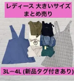 2026年最新】大きいサイズ レディース まとめ売りの人気アイテム 