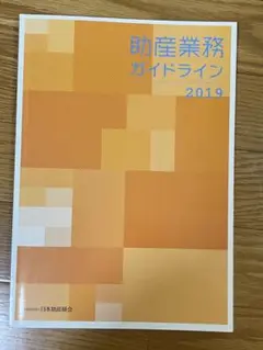 助産業務ガイドライン 2019