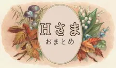 Ｈさま　おまとめ