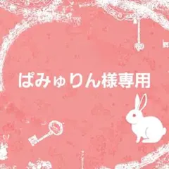 ぱみゅりん様専用