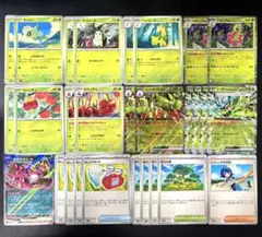 【カミツオロチexデッキ】 メガニウム みどりのめんなど 28枚まとめ売りのサムネイル