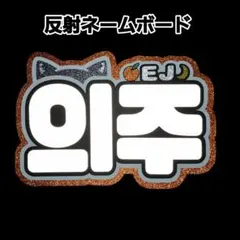 &TEAM EJ ウィジュ ネームボード A4サイズ