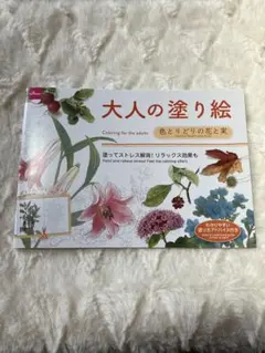 Item thumbnail for item 49e8e4d8-b9fa-406b-ab8f-35f512f12ce1